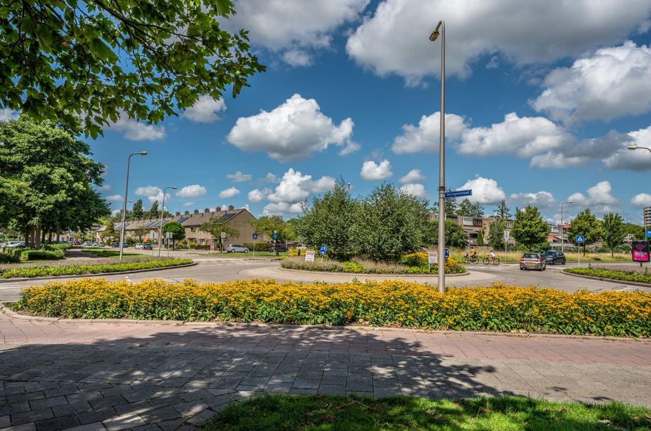 Seringenplantsoen 299