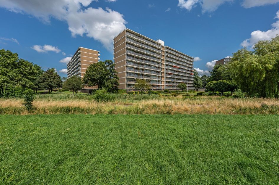Seringenplantsoen 299