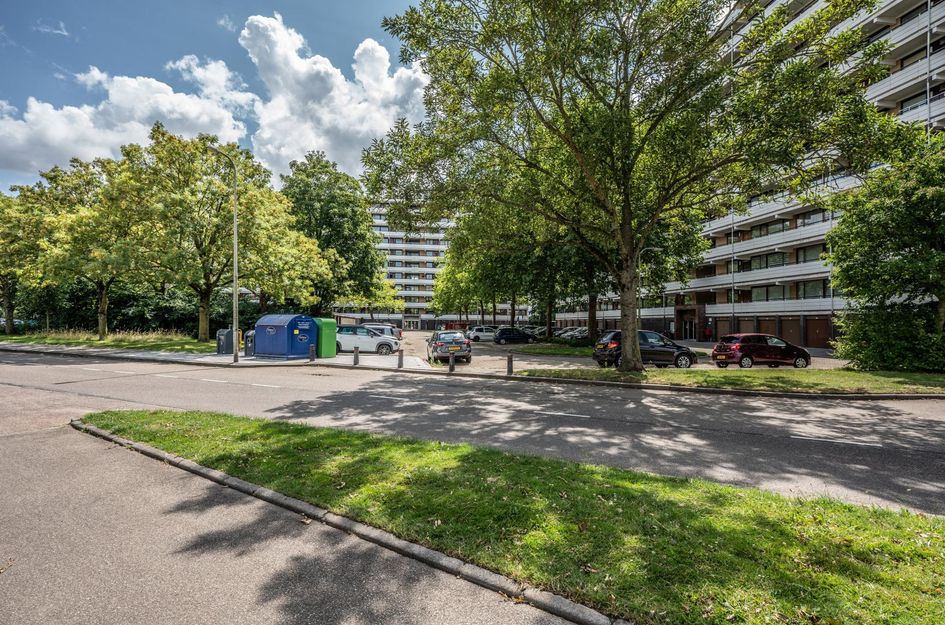 Seringenplantsoen 299