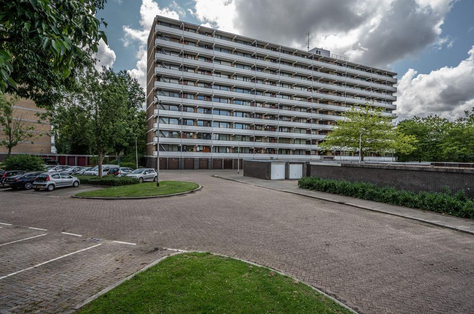 Seringenplantsoen 299