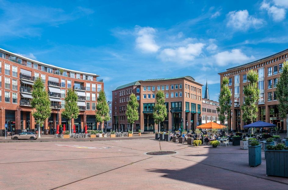 Seringenplantsoen 299