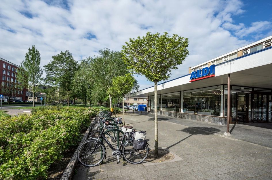 Seringenplantsoen 299