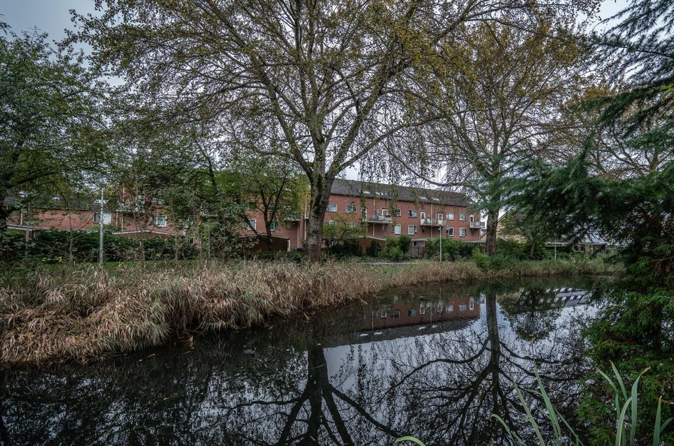 Watermolen 120