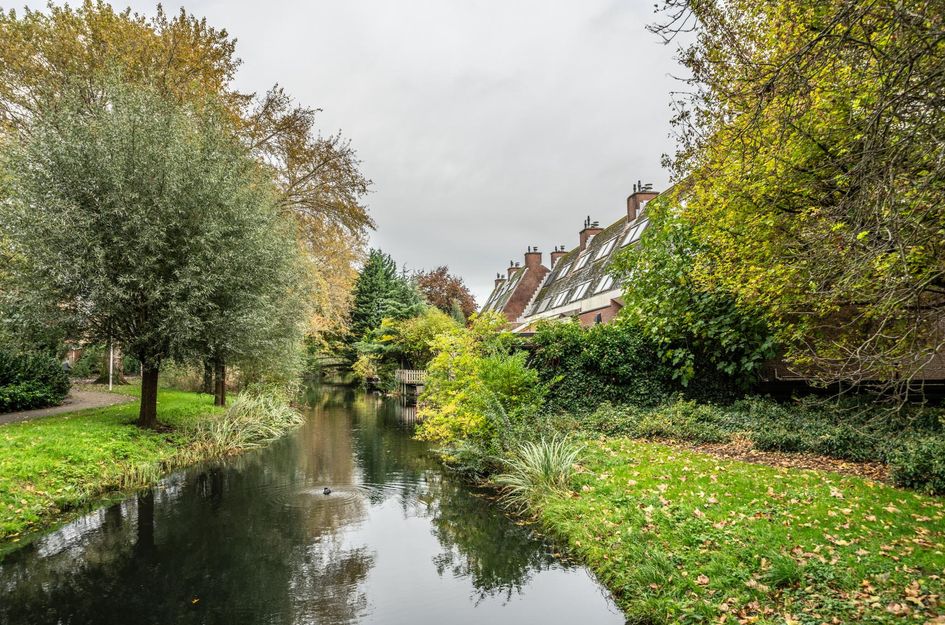 Watermolen 120