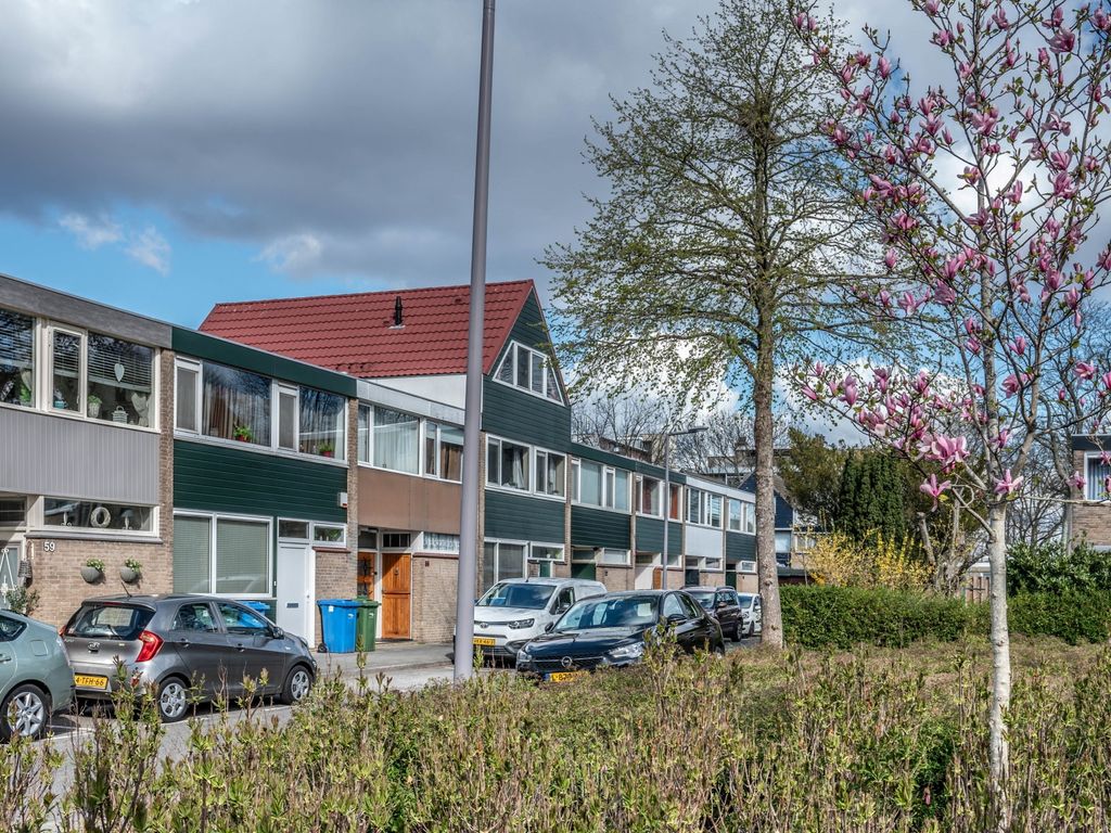Zenostraat 59, Rotterdam