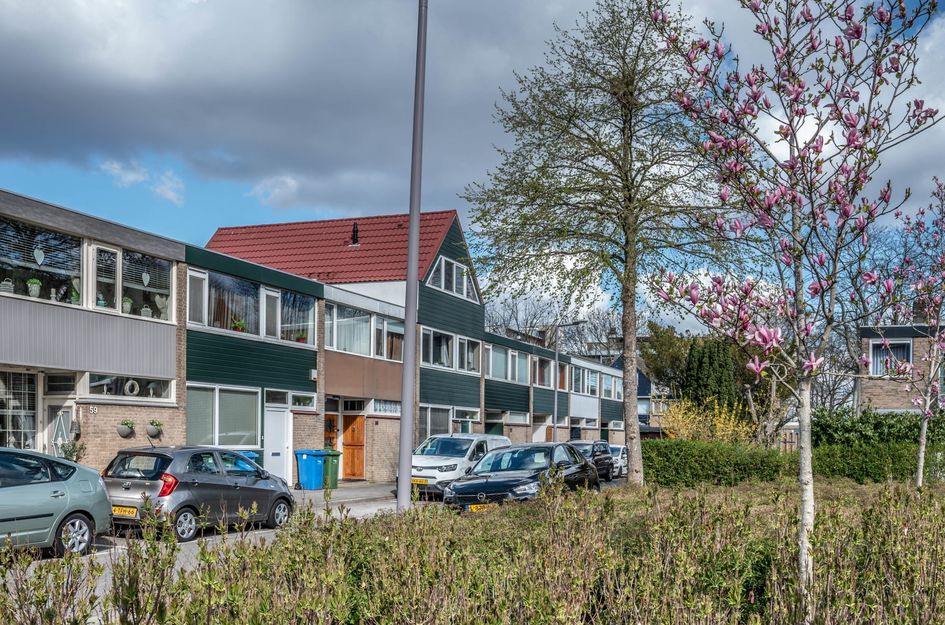 Zenostraat 59