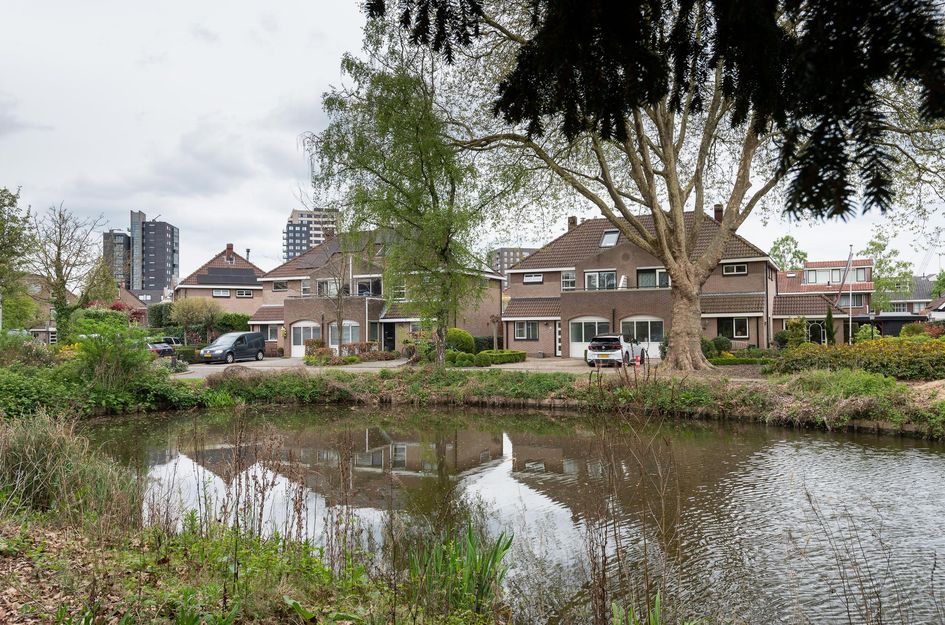 Electropark 13
