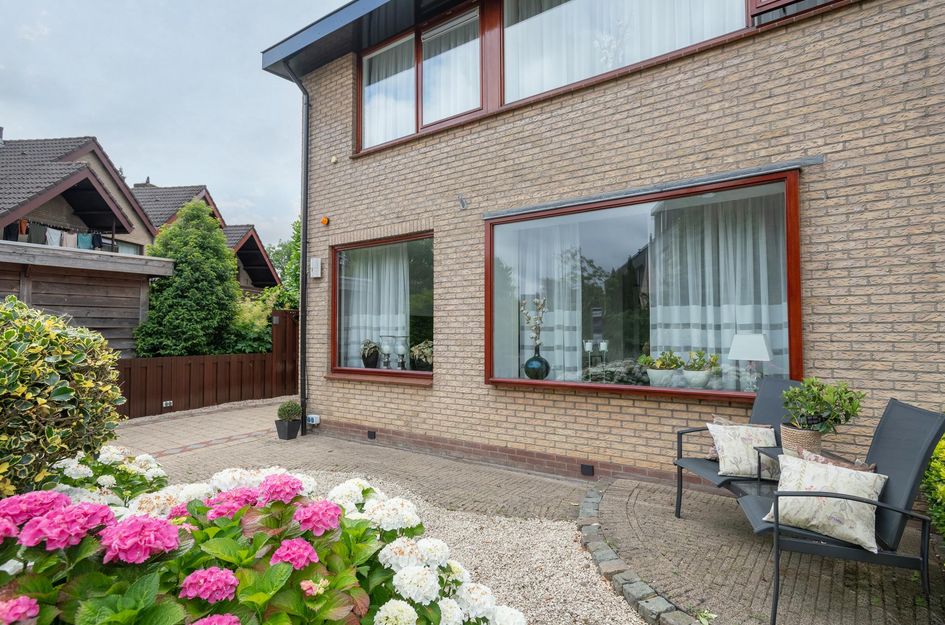 Roerdomp 1