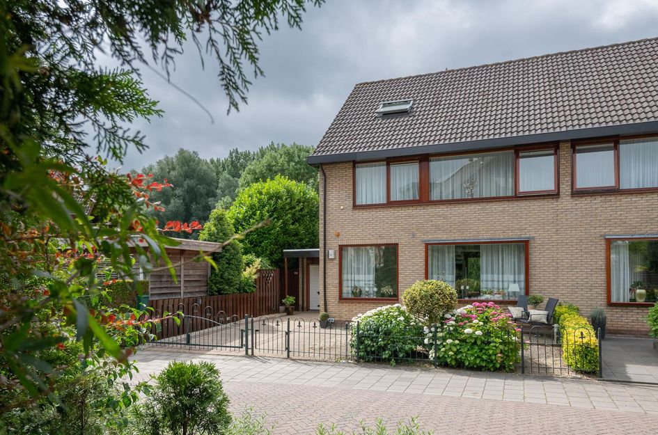 Roerdomp 1