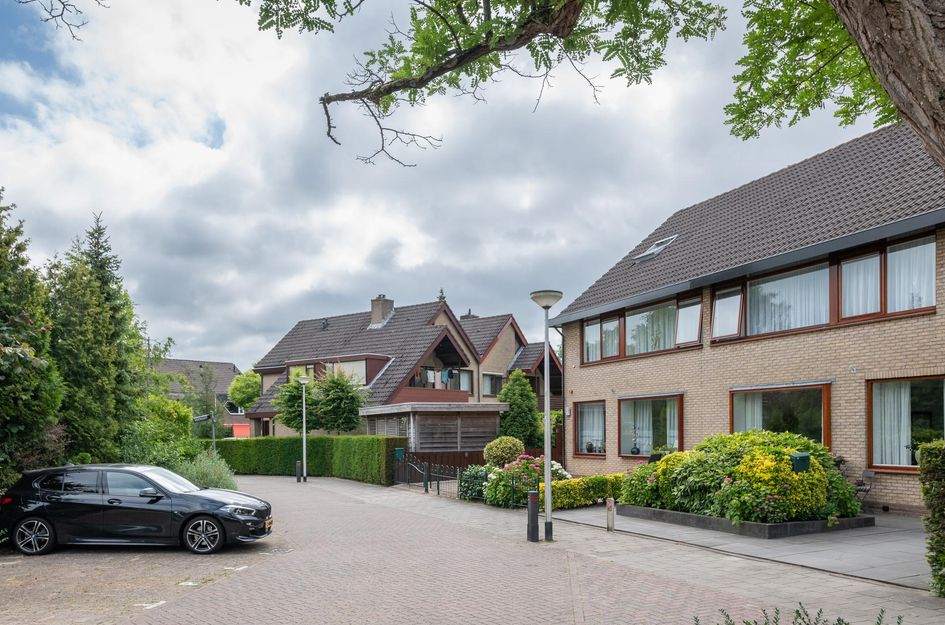 Roerdomp 1