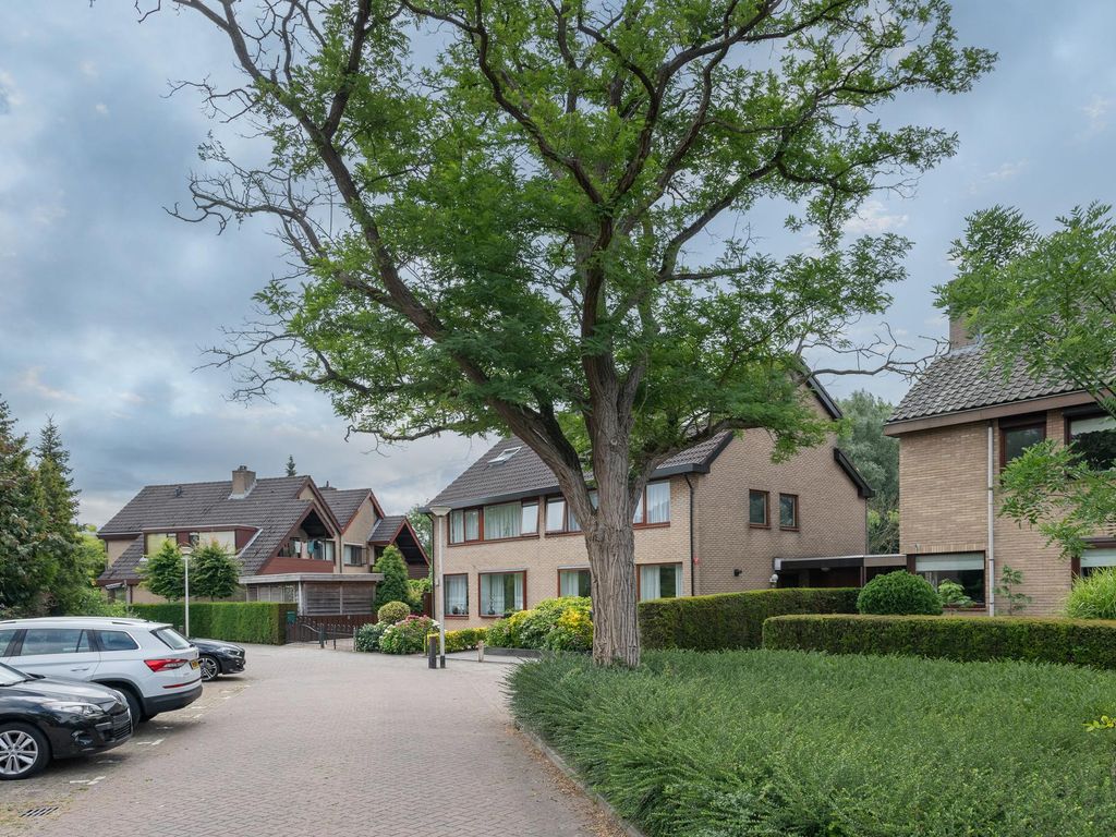 Roerdomp 1, RIDDERKERK