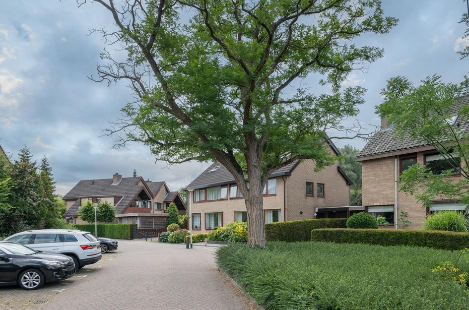 Roerdomp 1