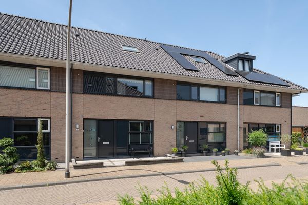 Boterbloem 28