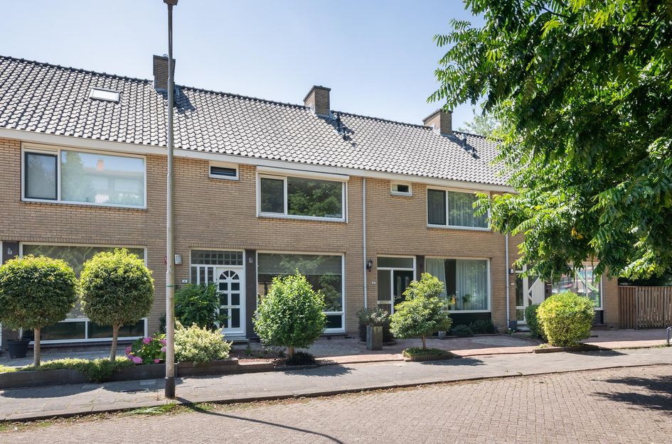 Lingestraat 6