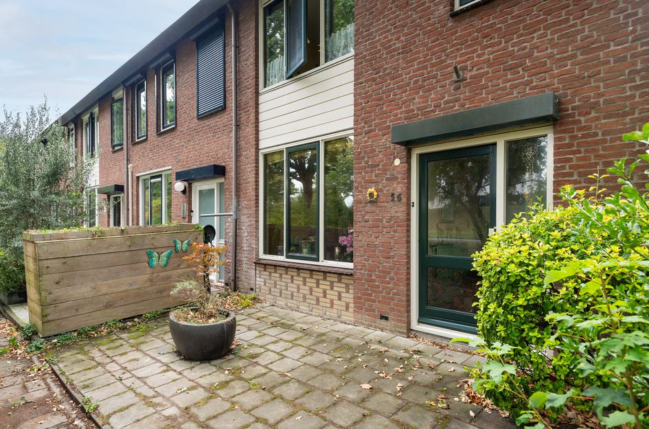 Korhoen 56