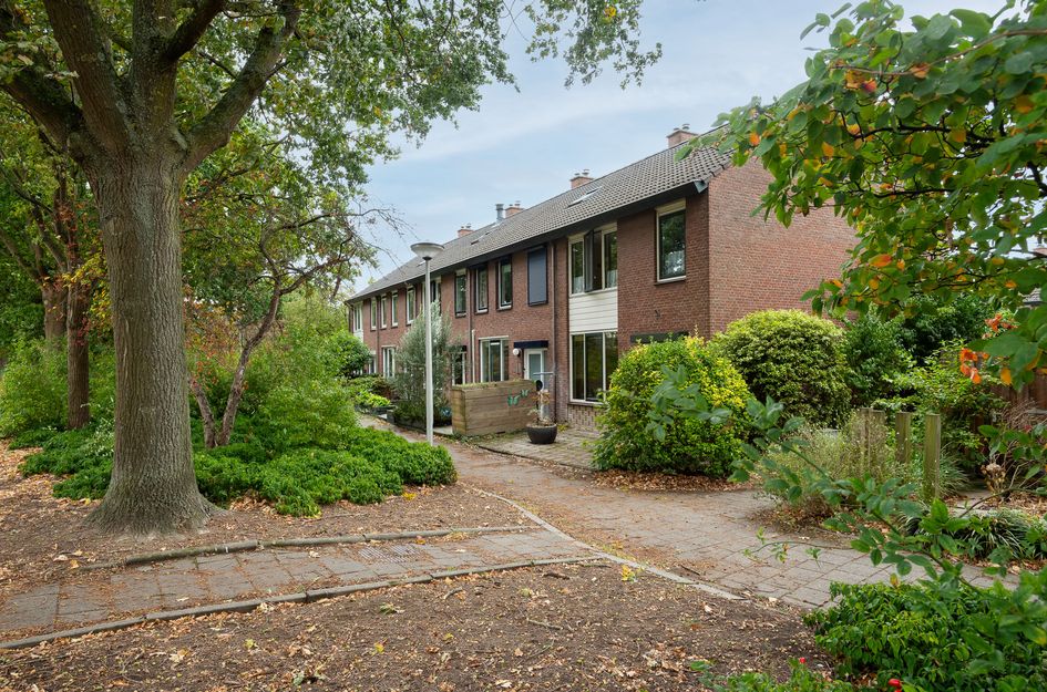 Korhoen 56