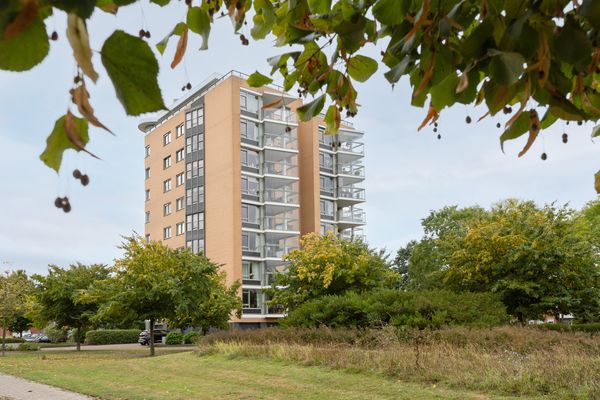 Erasmuspark 118