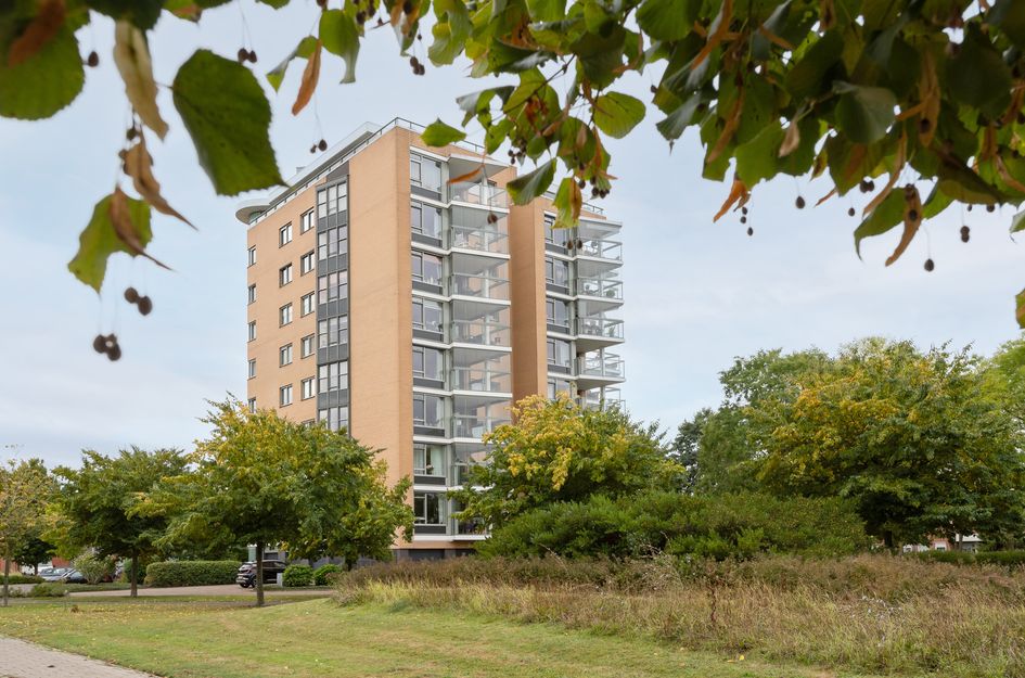 Erasmuspark 118