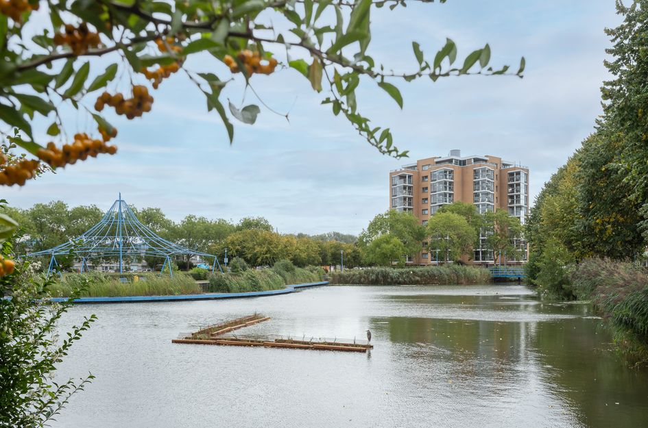 Erasmuspark 118