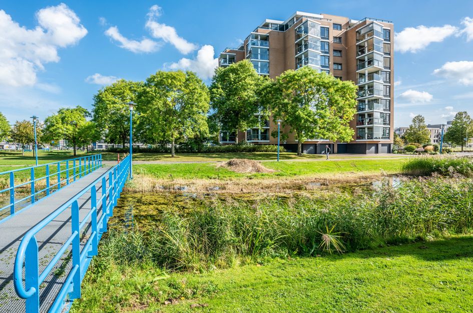 Erasmuspark 118