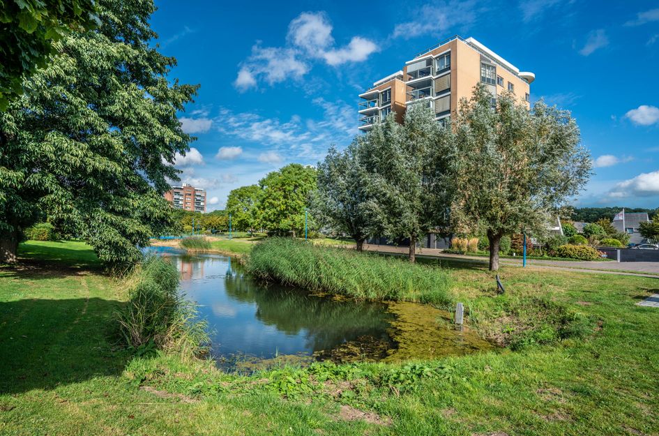 Erasmuspark 118