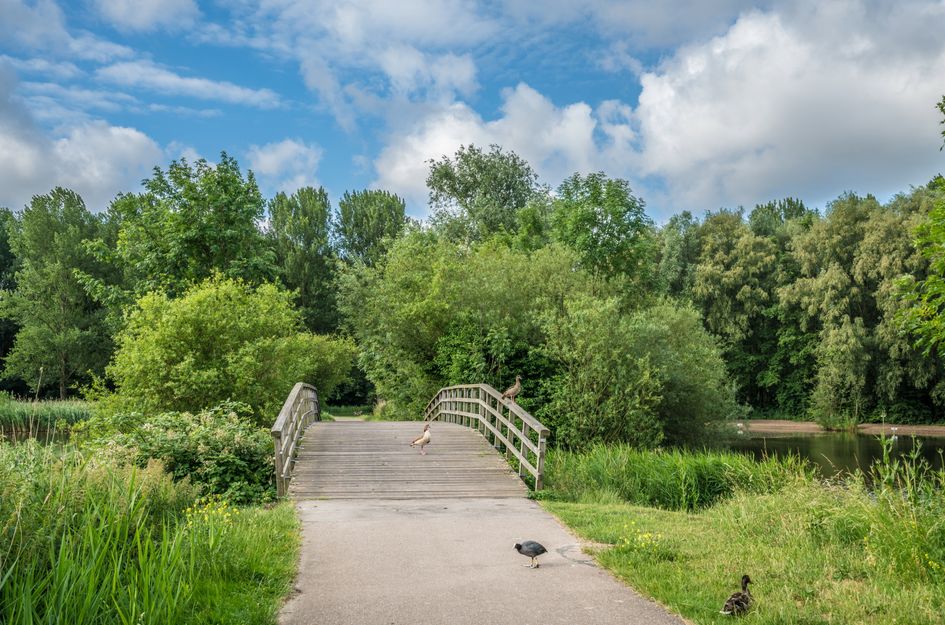 Erasmuspark 118