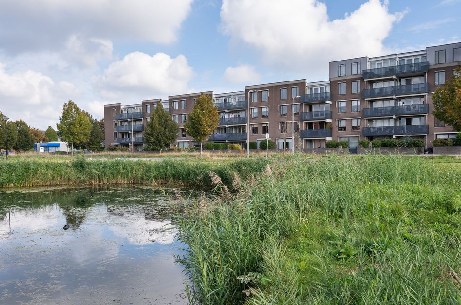 Zeemanstraat 84