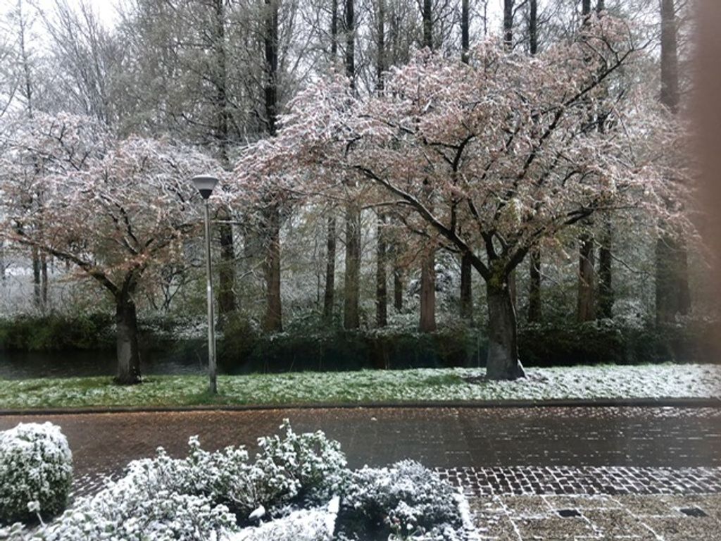 Eikendreef 5, RIDDERKERK