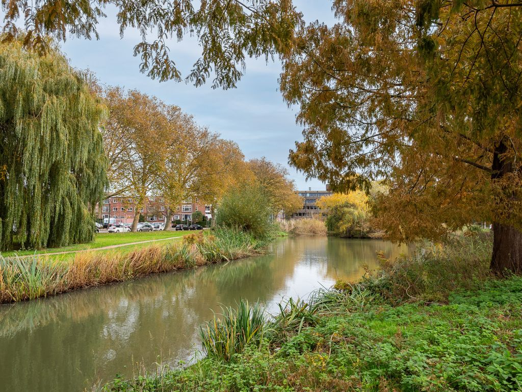 Dr. Schaepmanstraat 12, RIDDERKERK