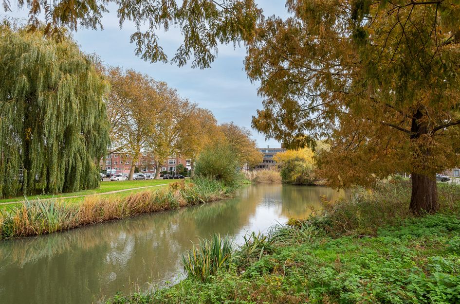 Dr. Schaepmanstraat 12