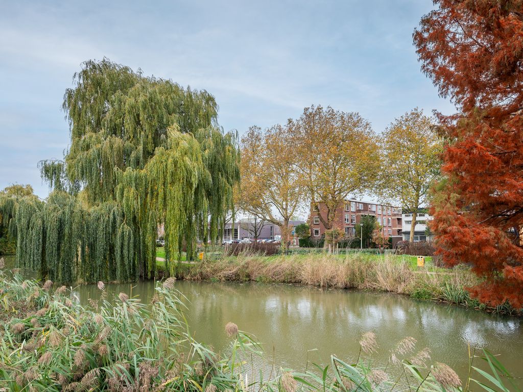 Dr. Schaepmanstraat 12, RIDDERKERK