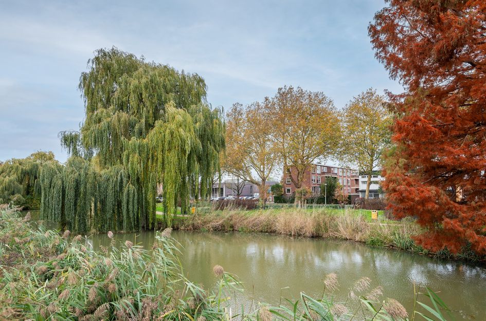 Dr. Schaepmanstraat 12