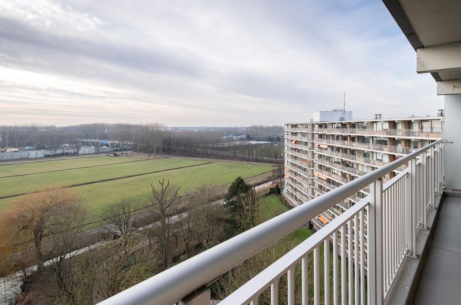 Seringenplantsoen 181