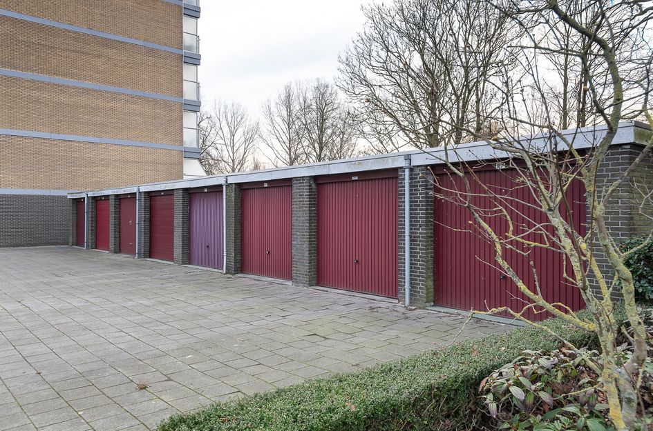 Seringenplantsoen 181