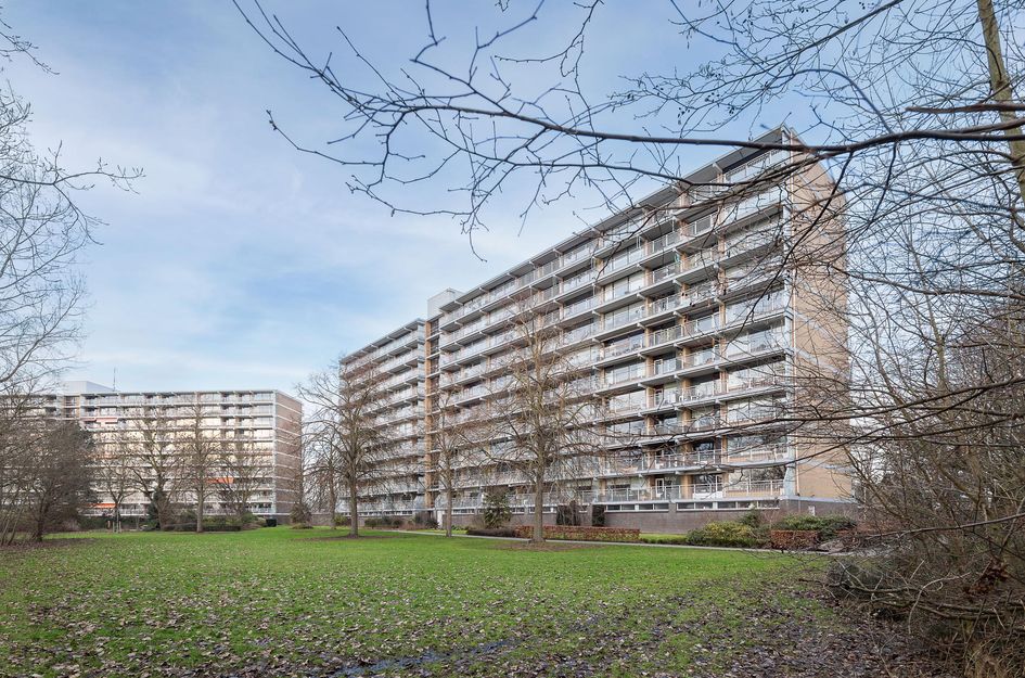 Seringenplantsoen 181