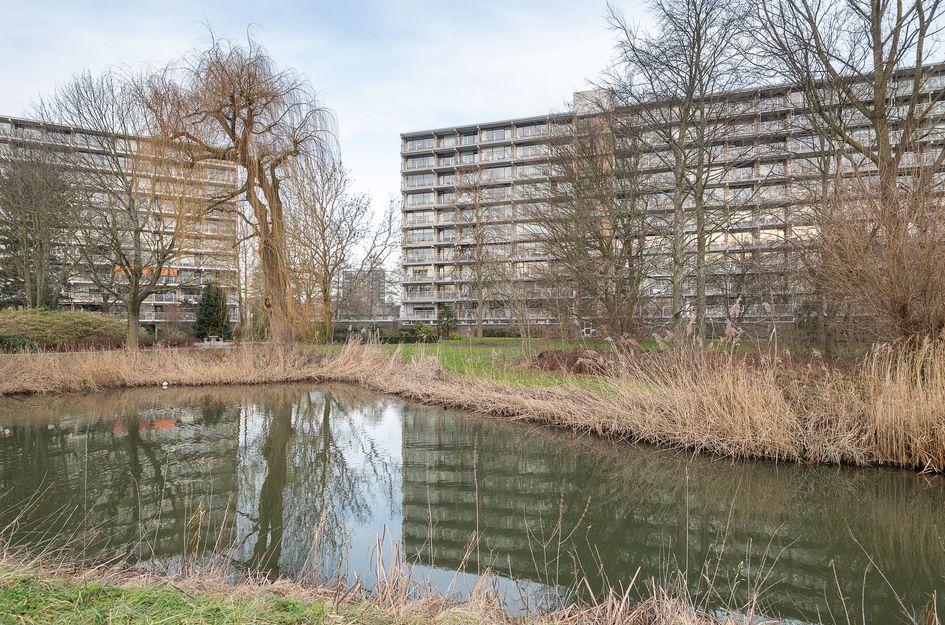 Seringenplantsoen 181