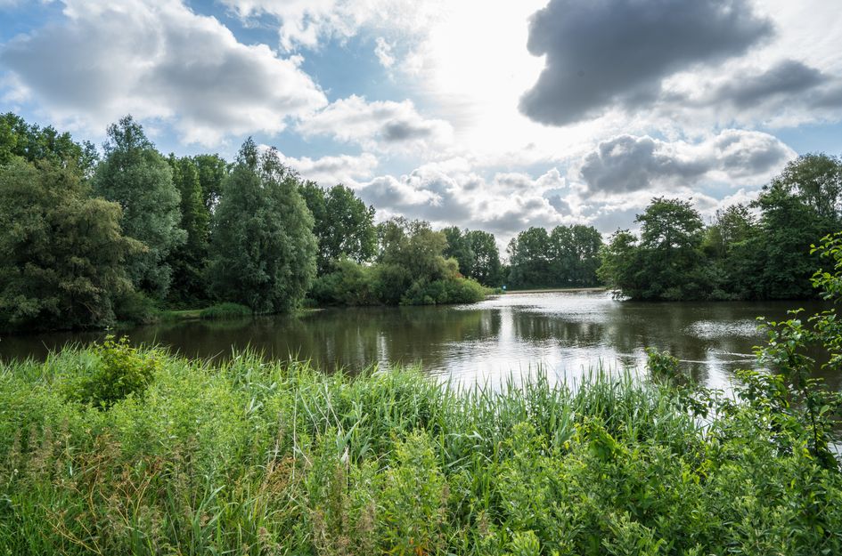 Van Leeuwenhoekstraat 101