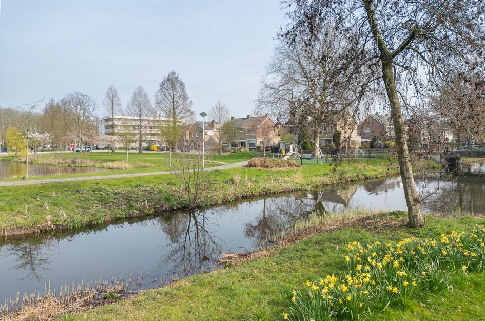 Ferdinand Bolstraat 26