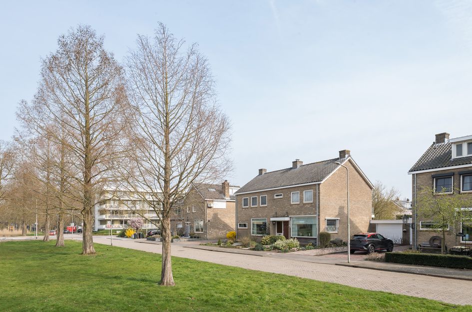 Ferdinand Bolstraat 26