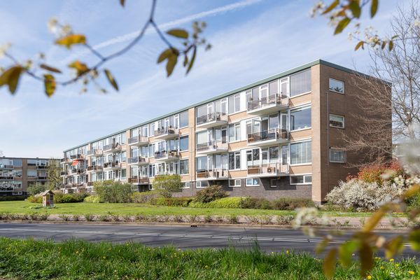 A.M. de Jongstraat 227