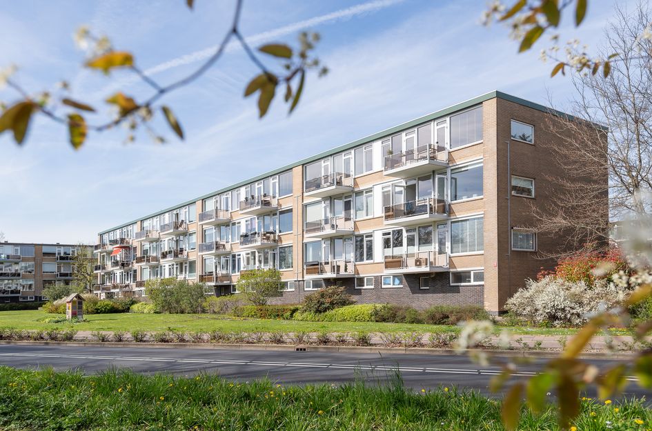 A.M. de Jongstraat 227