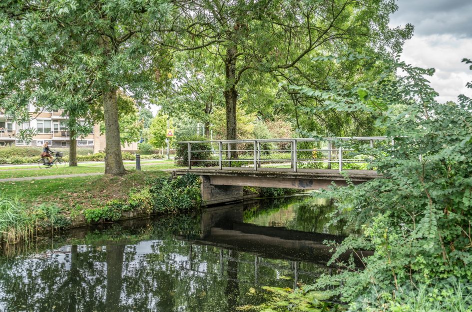 A.M. de Jongstraat 227