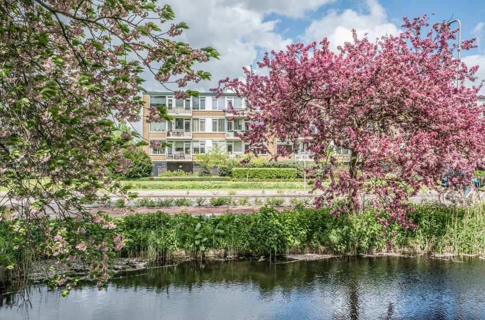 A.M. de Jongstraat 227