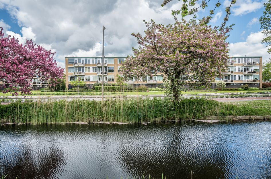 A.M. de Jongstraat 227