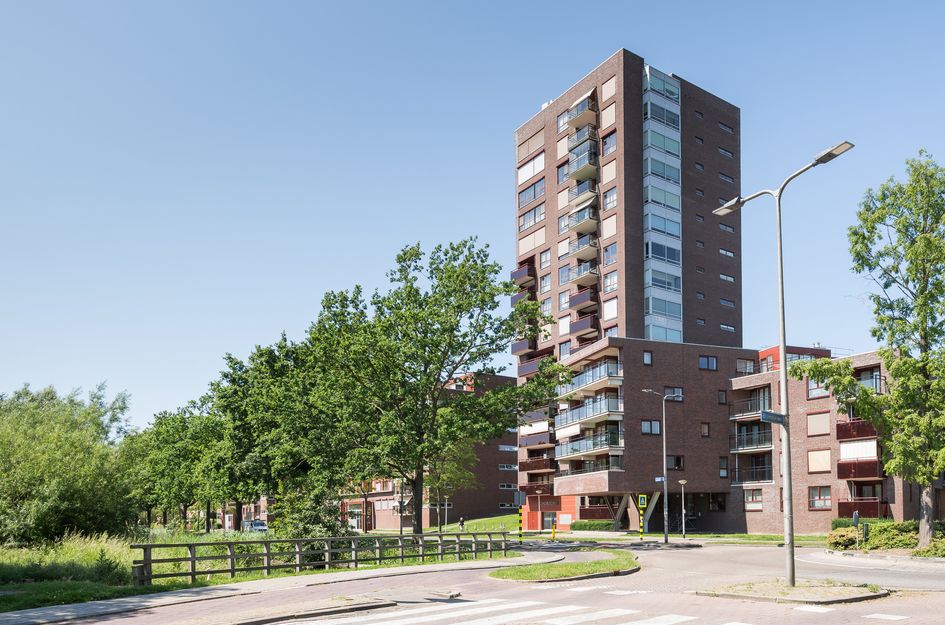 Vondellaan 53