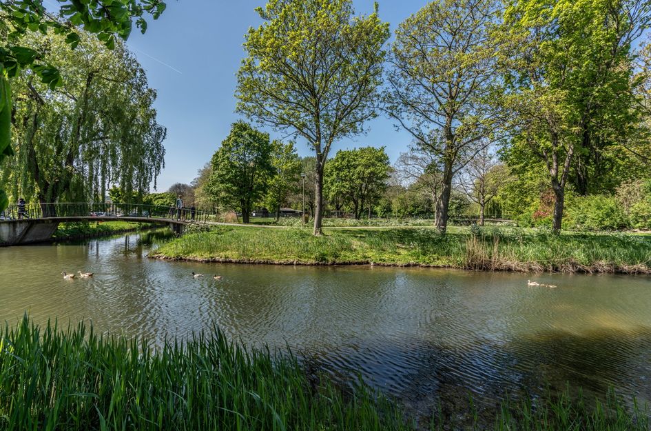 Lohmanpark 16
