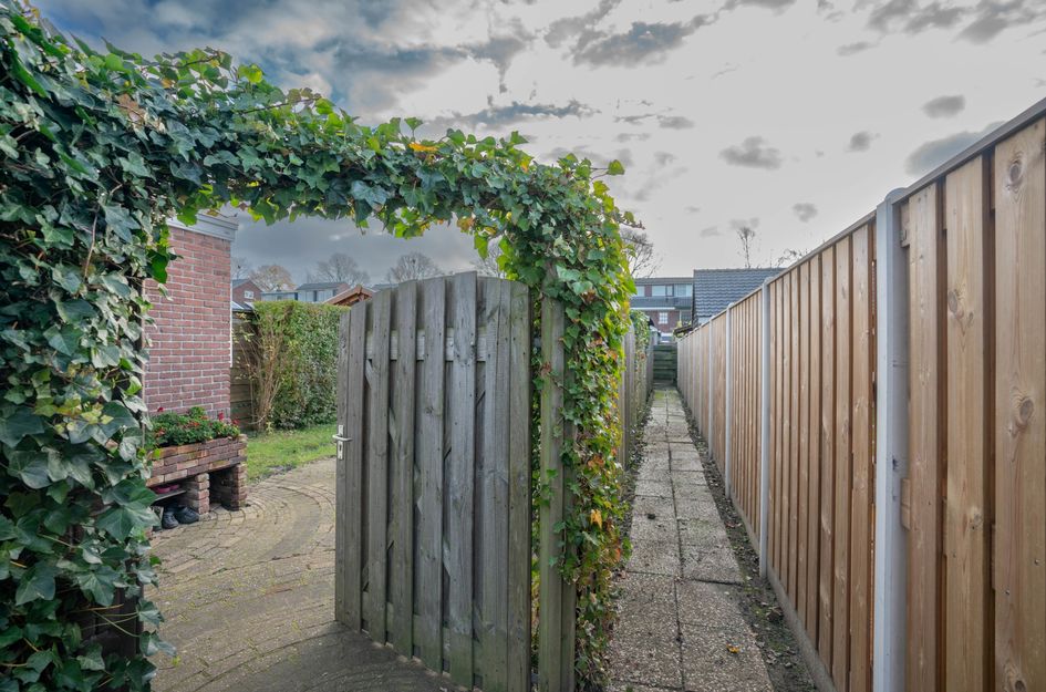 Graaf Adolfstraat 23