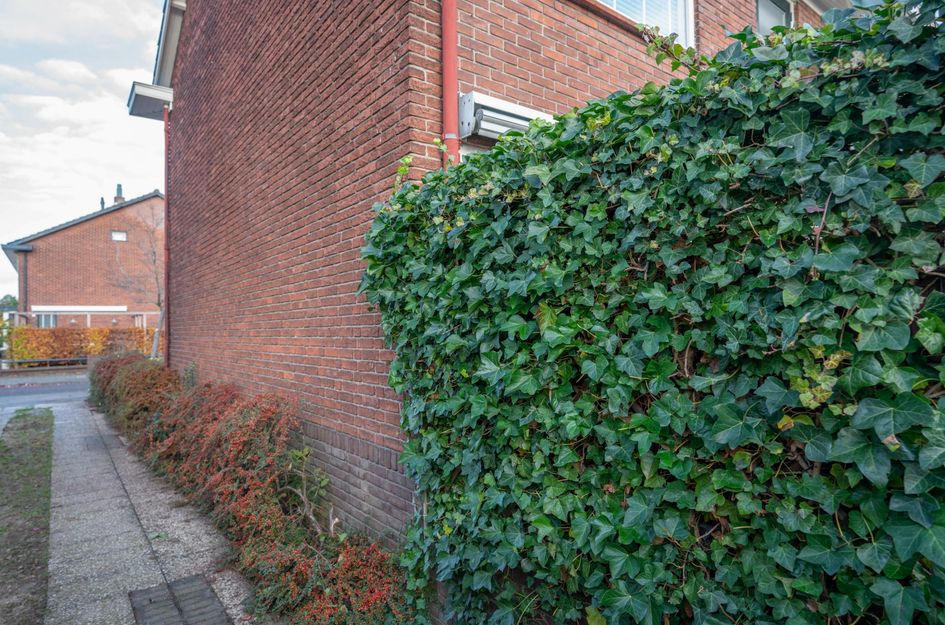 Graaf Adolfstraat 23