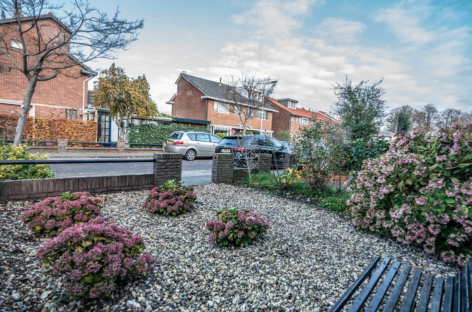 Graaf Adolfstraat 23