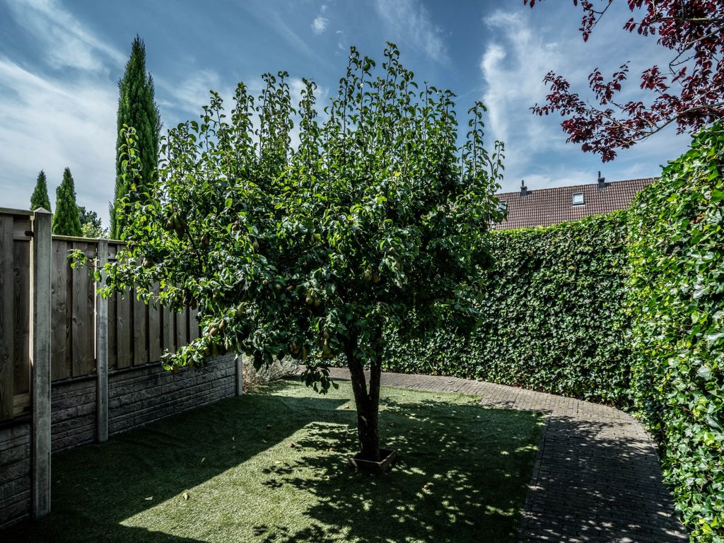 Tarbot 6, Ridderkerk